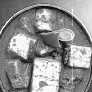 Paneer Shasilk