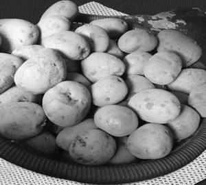 Potato