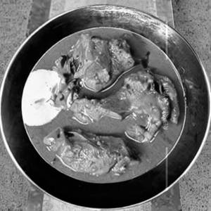 Punjab Cream Chicken