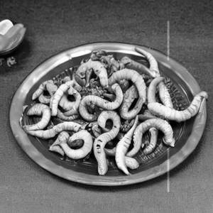 Squids Schezwan