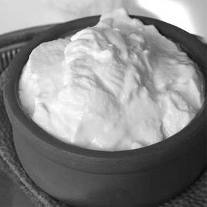 Plain Curd