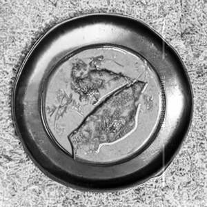 Pomfret Curry