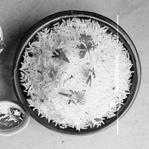 Pudina Rice