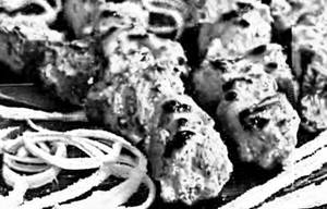 Fish Pudina Tikka