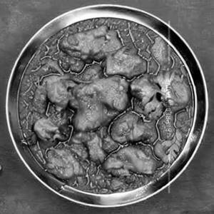 Chicken Kalimiri