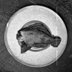Tawa Fry Fish Pomfret