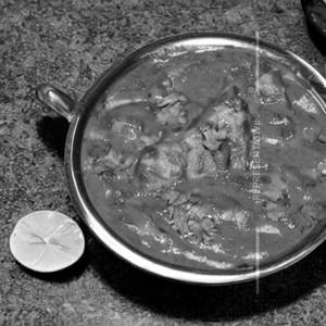 Fish Masala