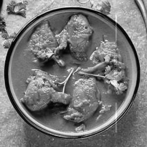 Chicken Bone Curry