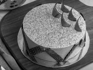 Tiramisu 500 Grams
