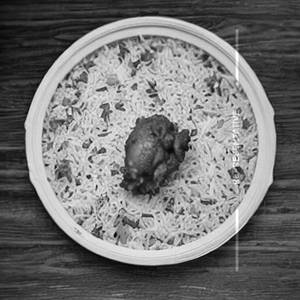 Chicken Mancho Rice