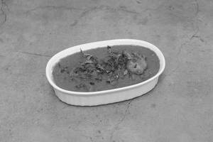 Fish Curry