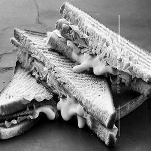 Chicken Cheese Sandwich
