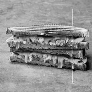 Veg Grilled Cheese Sandwich