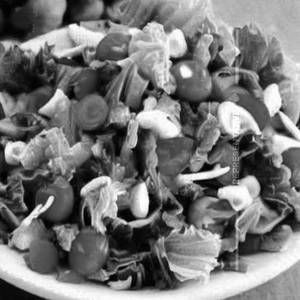 Tossed Salad