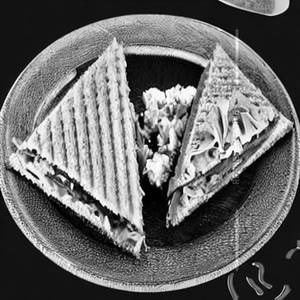 Veg. Sandwich 