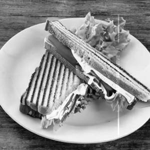 Special club sandwich
