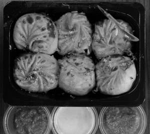 Tandoori Paneer Momos