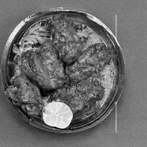 Schezwan Chicken