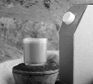 Premium Filter Coffee [Serves 4]