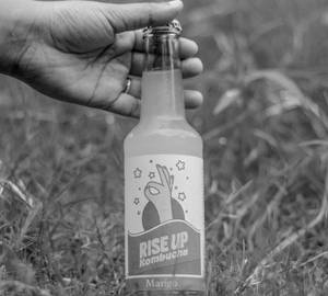 Rise Up Kombucha - Mango