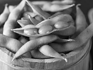 Steamed Edamame - Must Try!