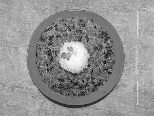 Jay Maa Fastfood Special Rice