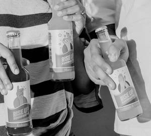 Rise Up Kombucha - Party Pack of 24