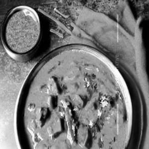 Veg Korma