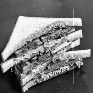 Csb Sagar Special Sandwich  