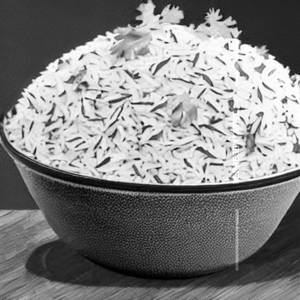 Veg Cilantro Rice