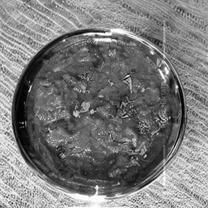 Kaju Masala Gravy