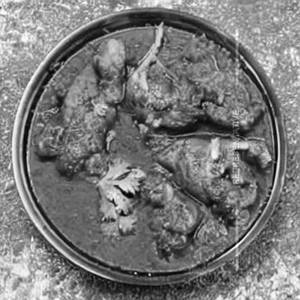 Chicken Lawabdar
