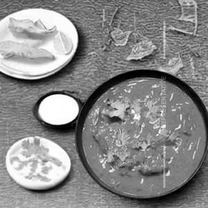 Butter Set Masala