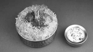 Dum Biryani Mutton