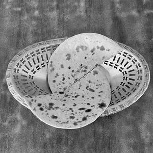 Tandoori Roti