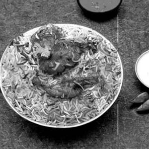 Jwari Chicken Biryani