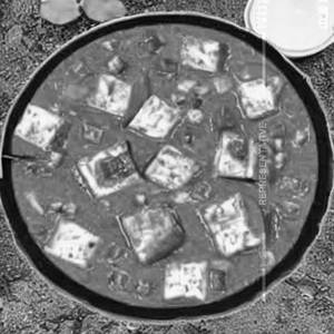 Veg Muton Paneer