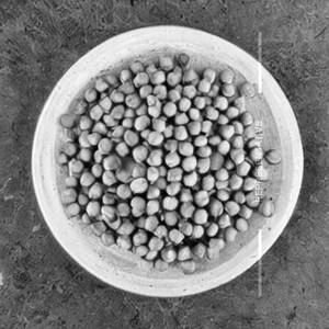 Green Peas Pepper Dry