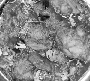 Guntur chicken curry