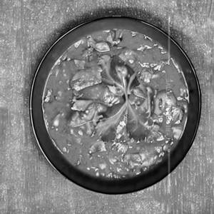 Chicken Shredded Capsicum Gravy