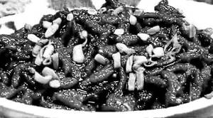 Soyabean chilli