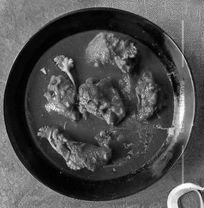 Chicken Rogon Josh