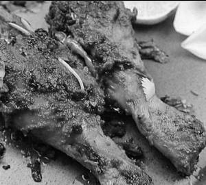 Kabab Fry [2 Piece]