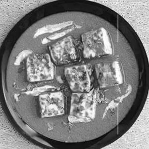Paneer Lababdar