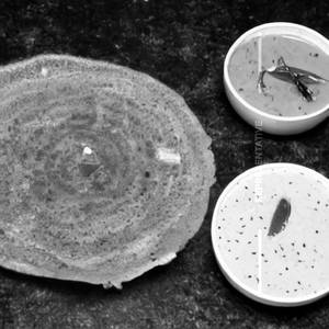 Arvhi Special Dosa