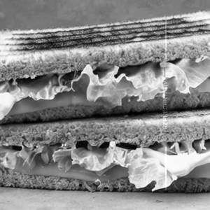 Ballia Burger Cheese Sandwich