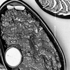 Mutton ghee roast
