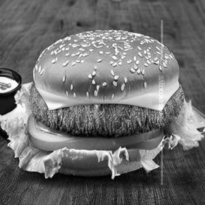 Cheese Burger