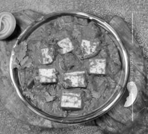 Khaju Paneer Masala