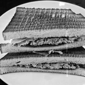 Rjs special sandwich